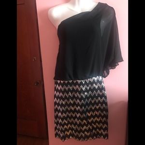 Women’s dress size large
